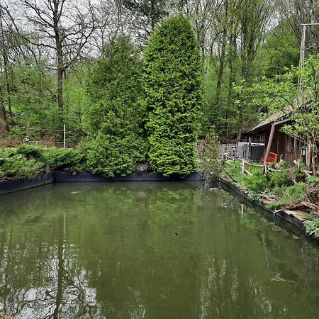 Hotel Zajazd-restauracja Zyga *