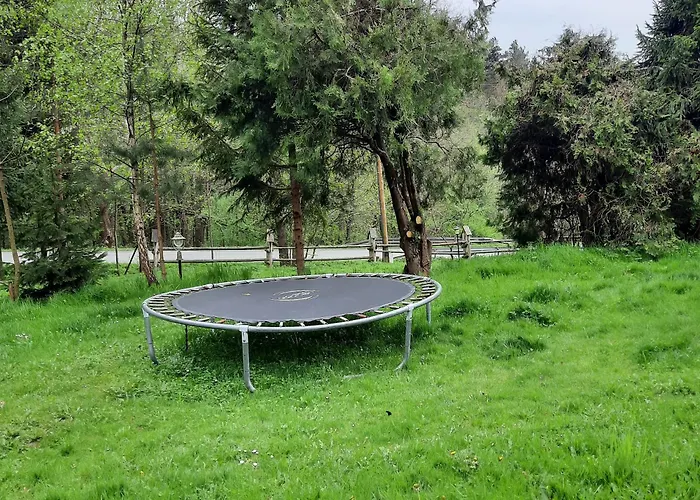 Zajazd-restauracja Zyga * Iwkowa